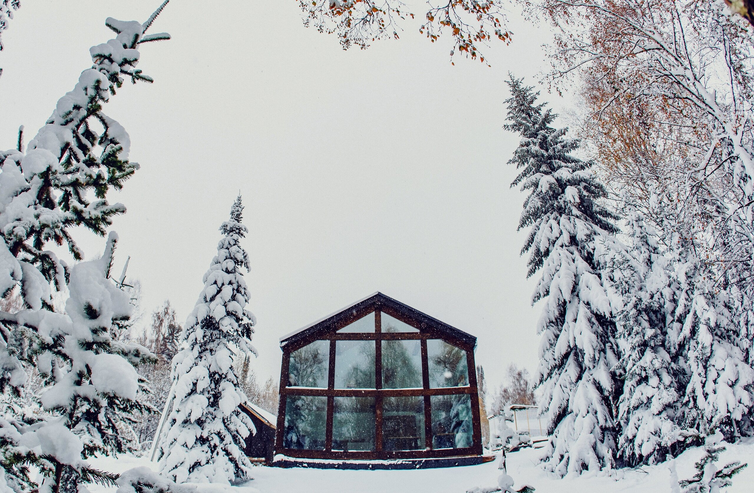 Фото Шале Sherebor