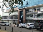 Spec. Dr. Asli Aktumen Psychiatry Clinic (Bursa, Osmangazi, Yenikaraman Mah., Yeleri-olgu Sitesi, B Blok), psicoterapeuta