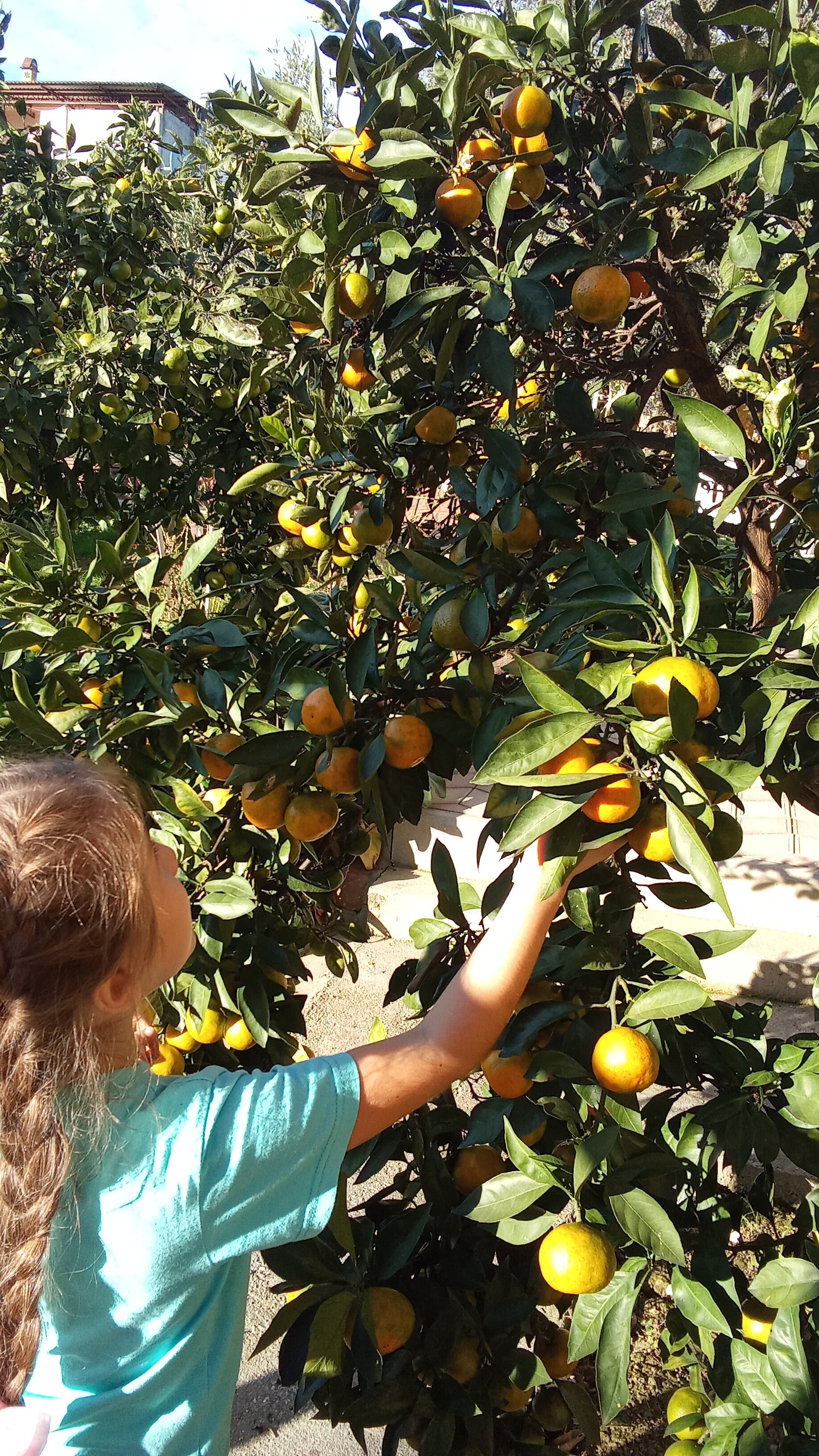 Фото Отель Мэри
