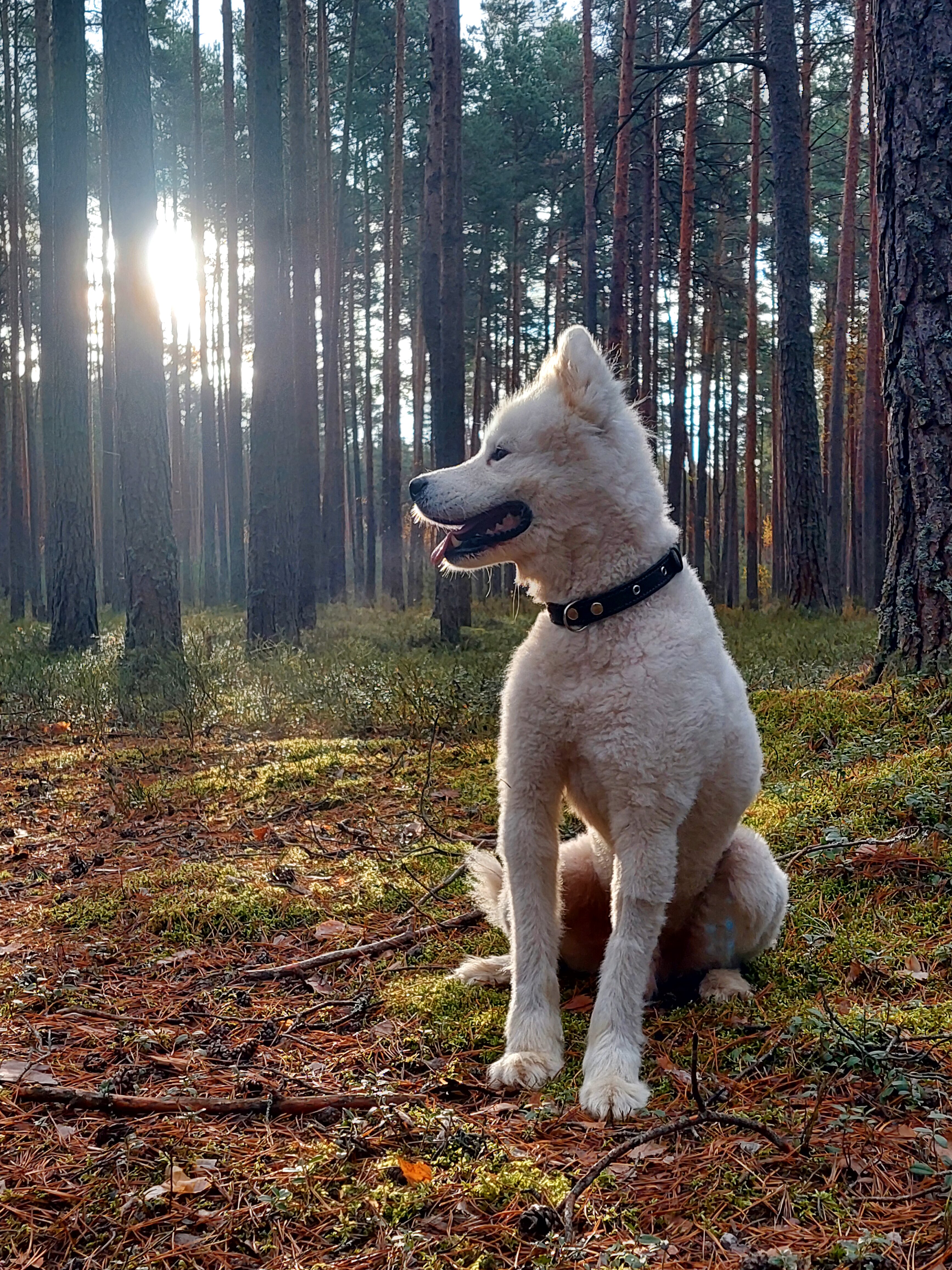 Фото Орша Ривер Клаб