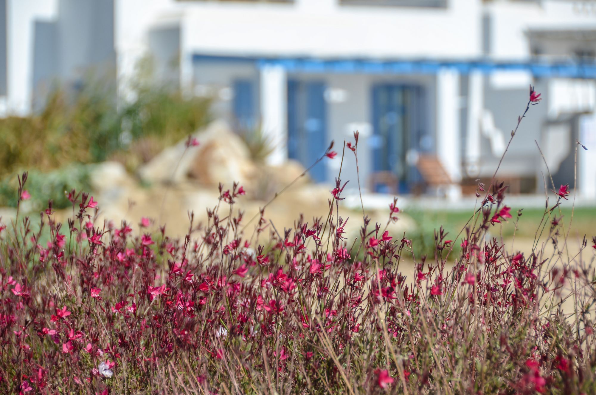 Фото Natura Villas