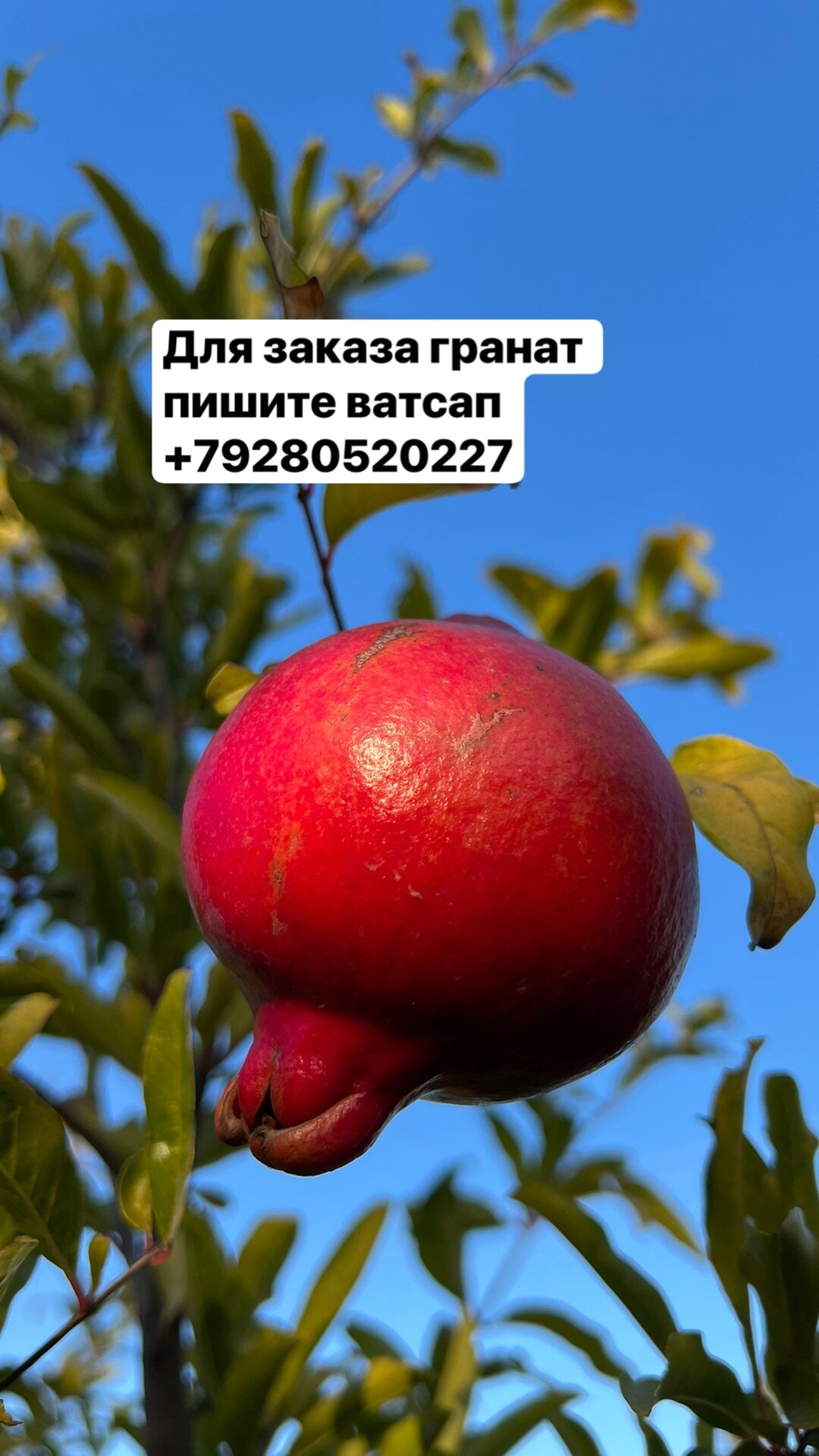 Фото Ла Дербент