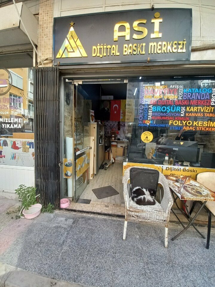 Large format printing Asi Digital Printing Center, Izmir, photo