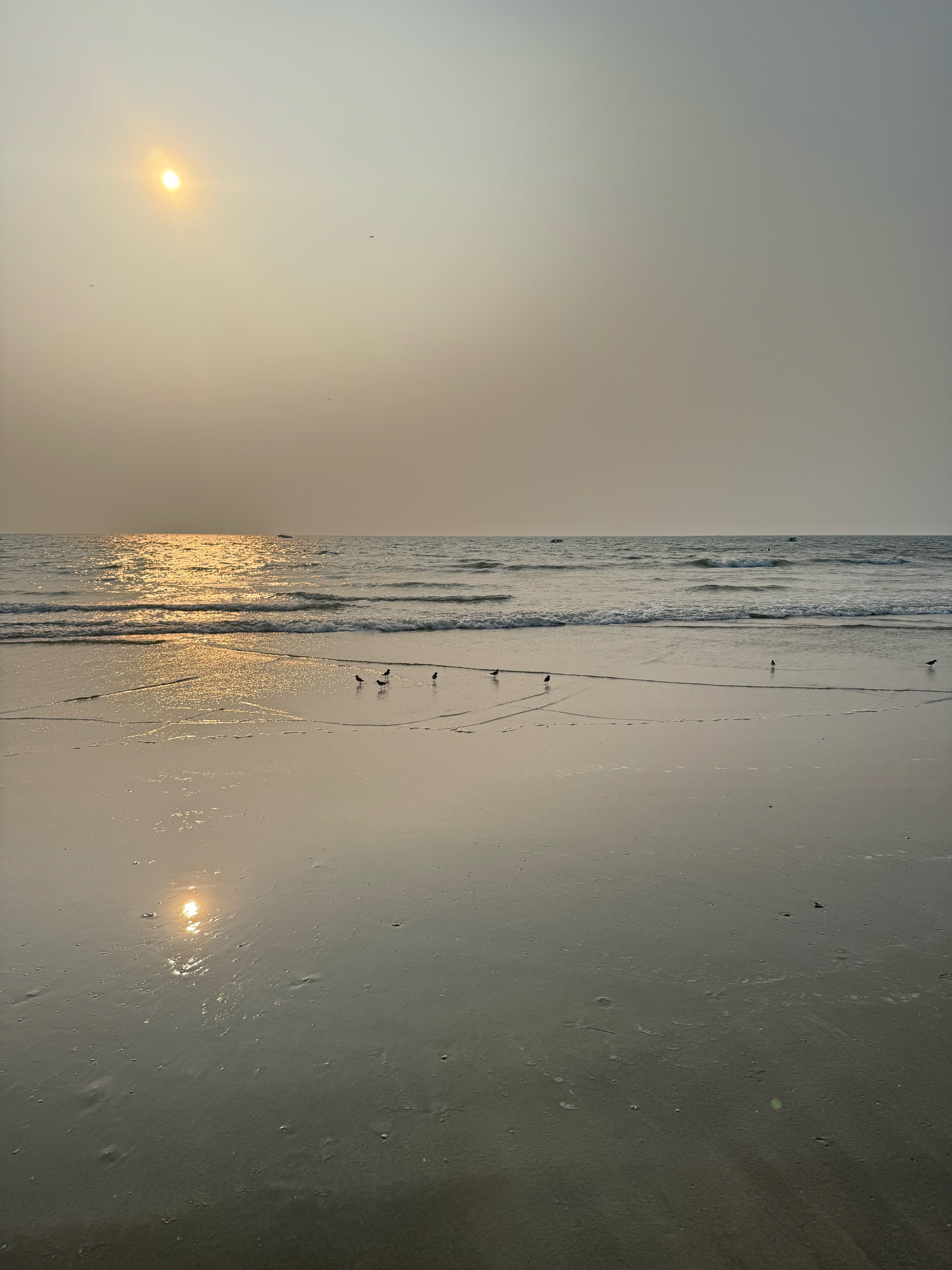 Фото Azaya Beach Resort Goa