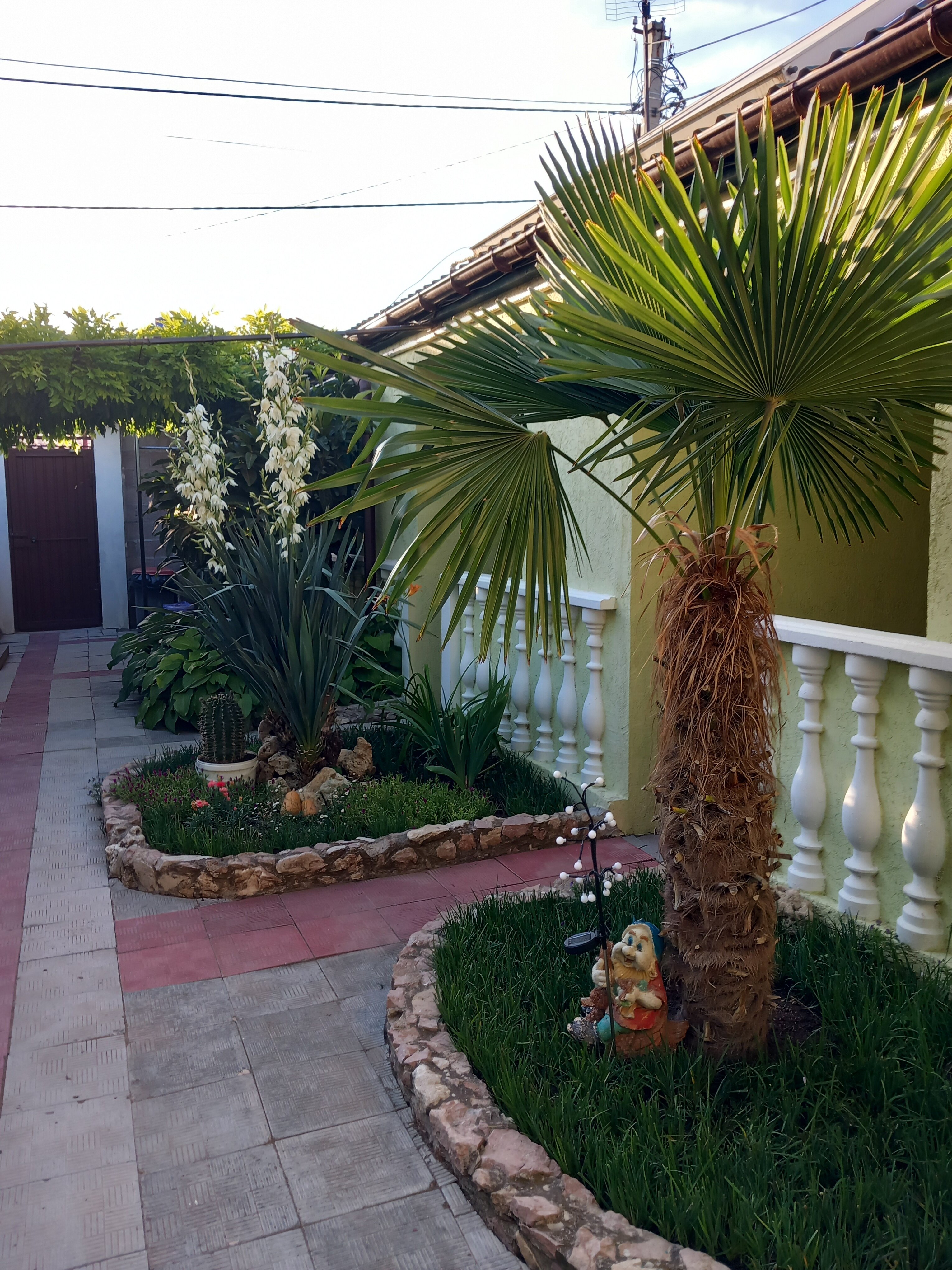 Фото Зелёный дворик