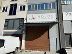Holos Food Industry (İstanbul, Sultanbeyli, Battalgazi Mah., Sardunya Sok., 4/24), foodstuffs wholesale