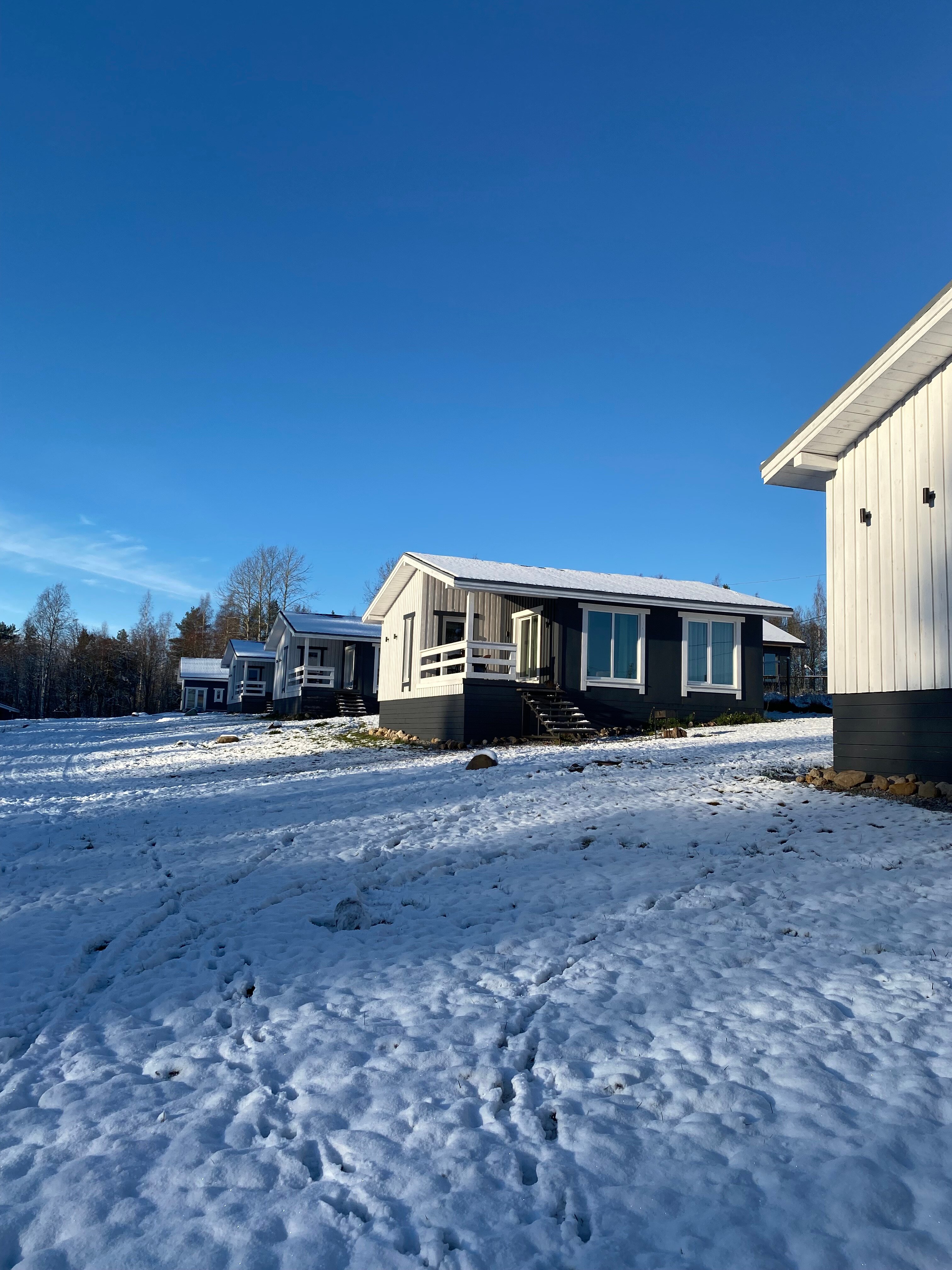 Фото Forest Hills