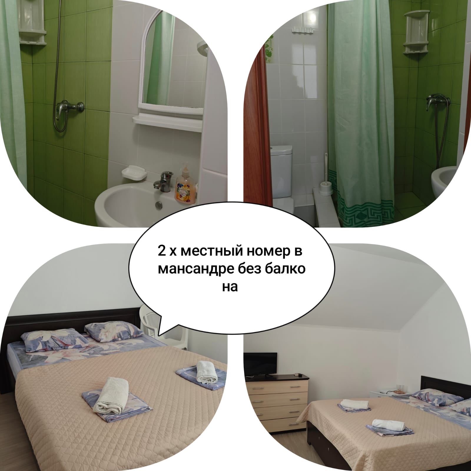 Фото Жасмин