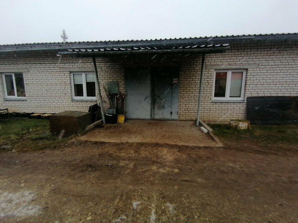 Greenhouse Оранжерея ЗиД, Kovrov, photo