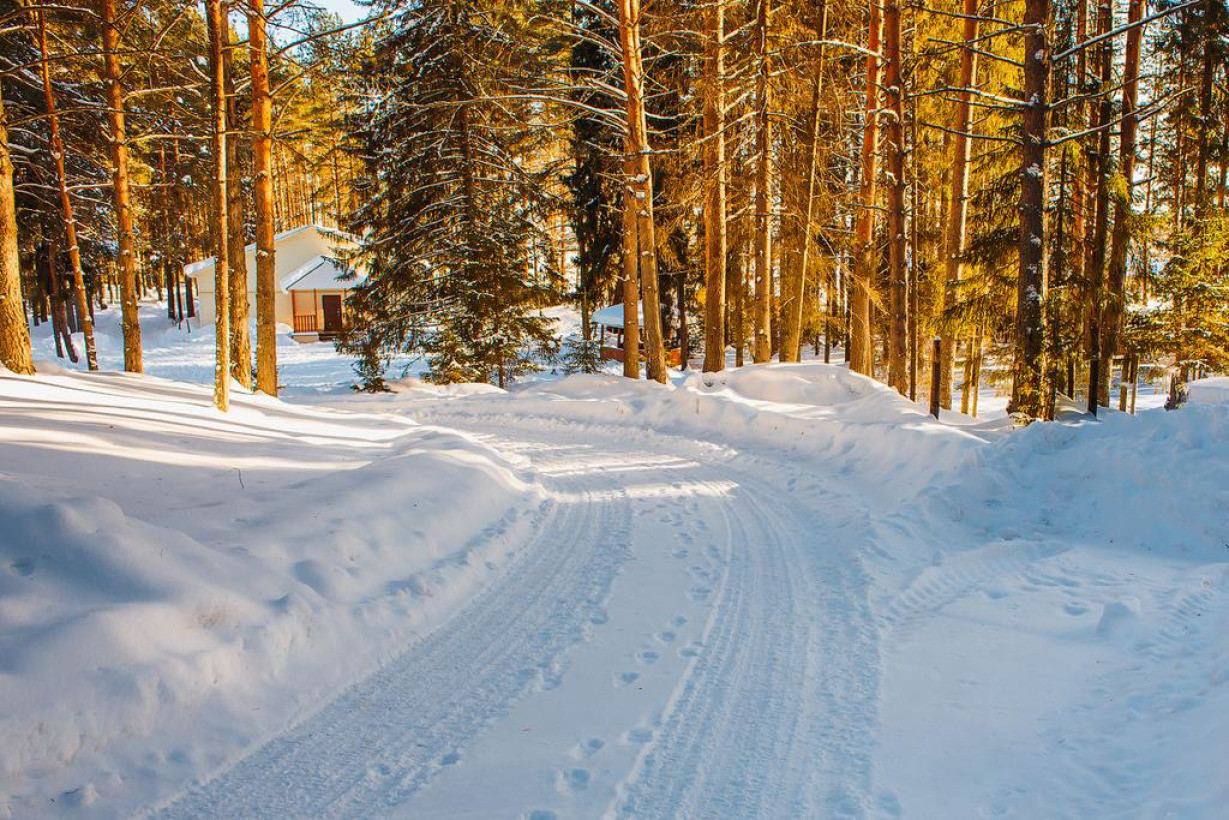 Фото Северная звезда