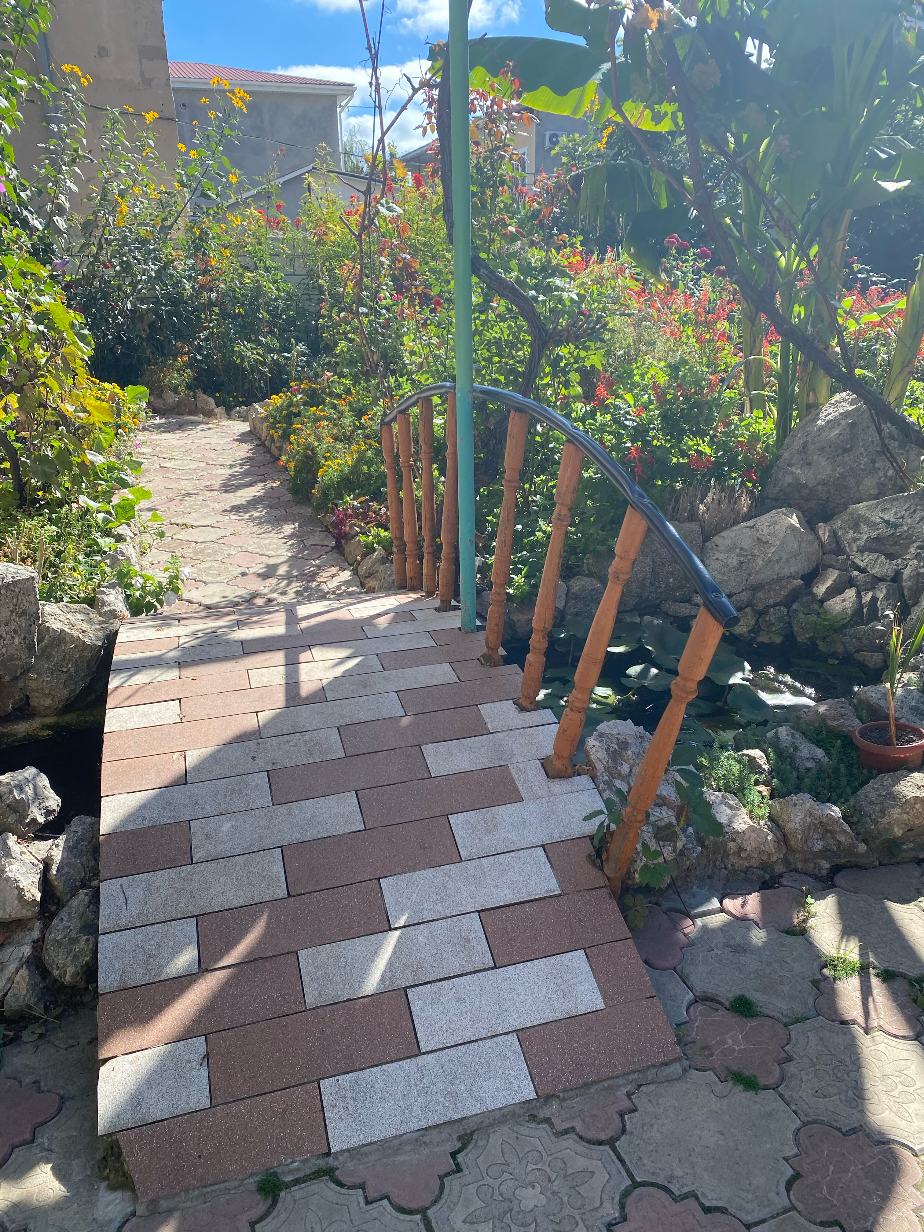 Фото Экзотик