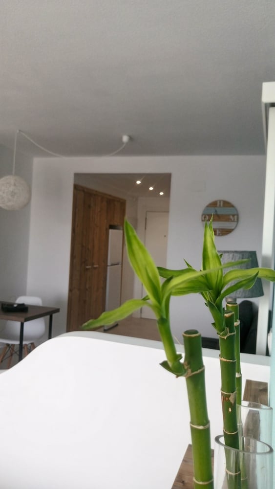 Фото Estudio Ally