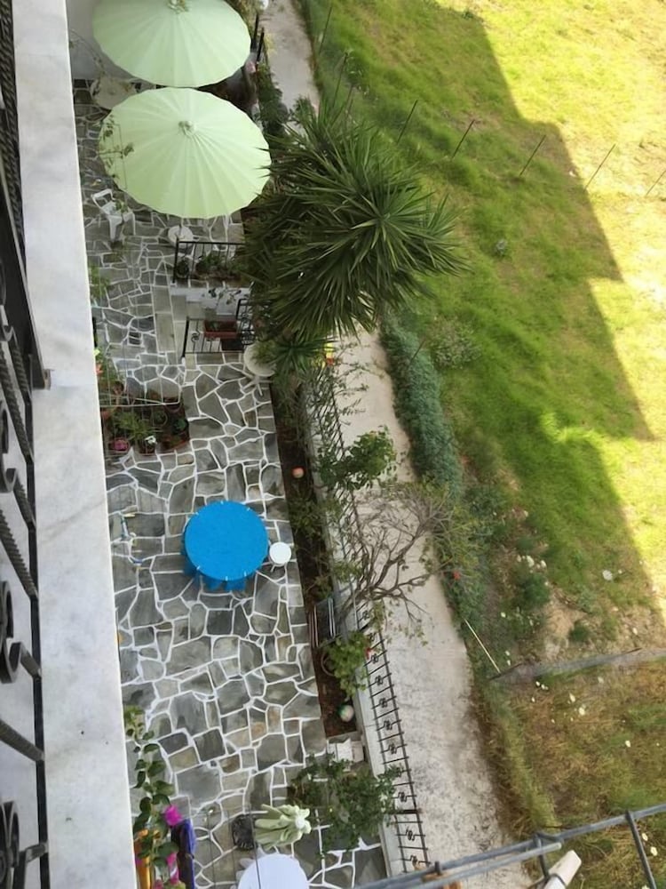 Фото Mimoza Studios