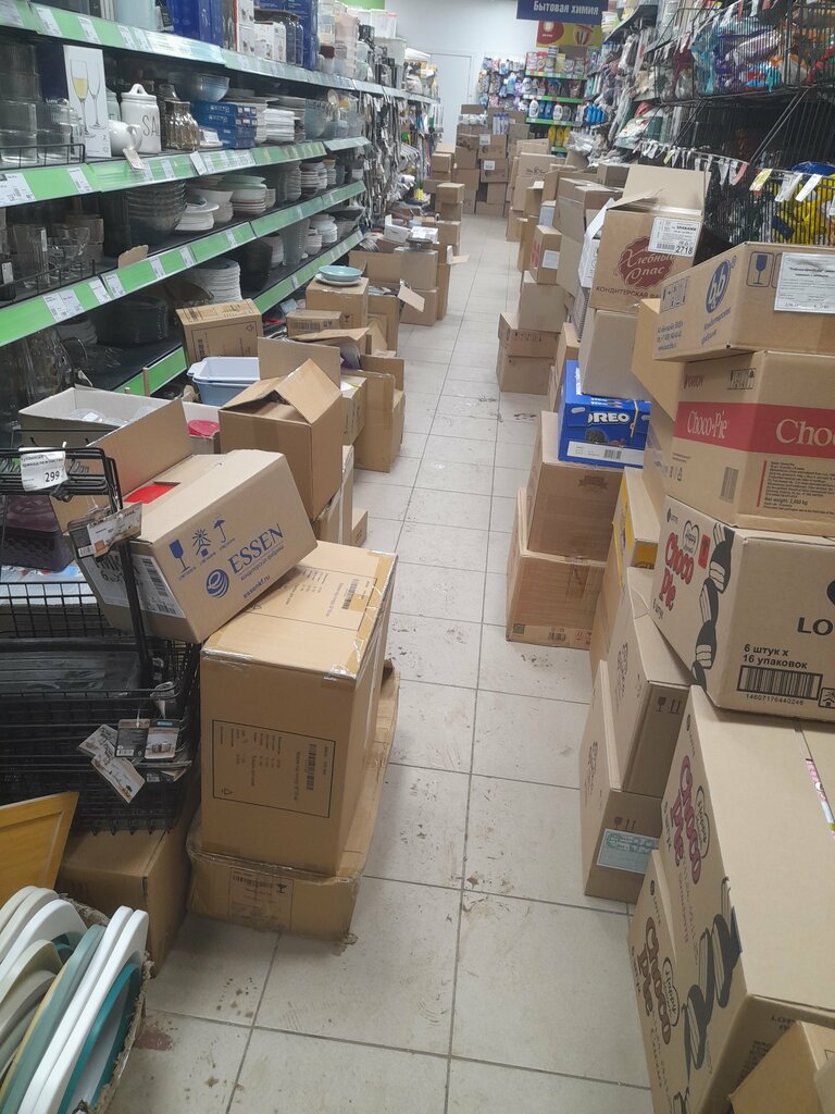 Home goods store Fix Price, Yelets, photo
