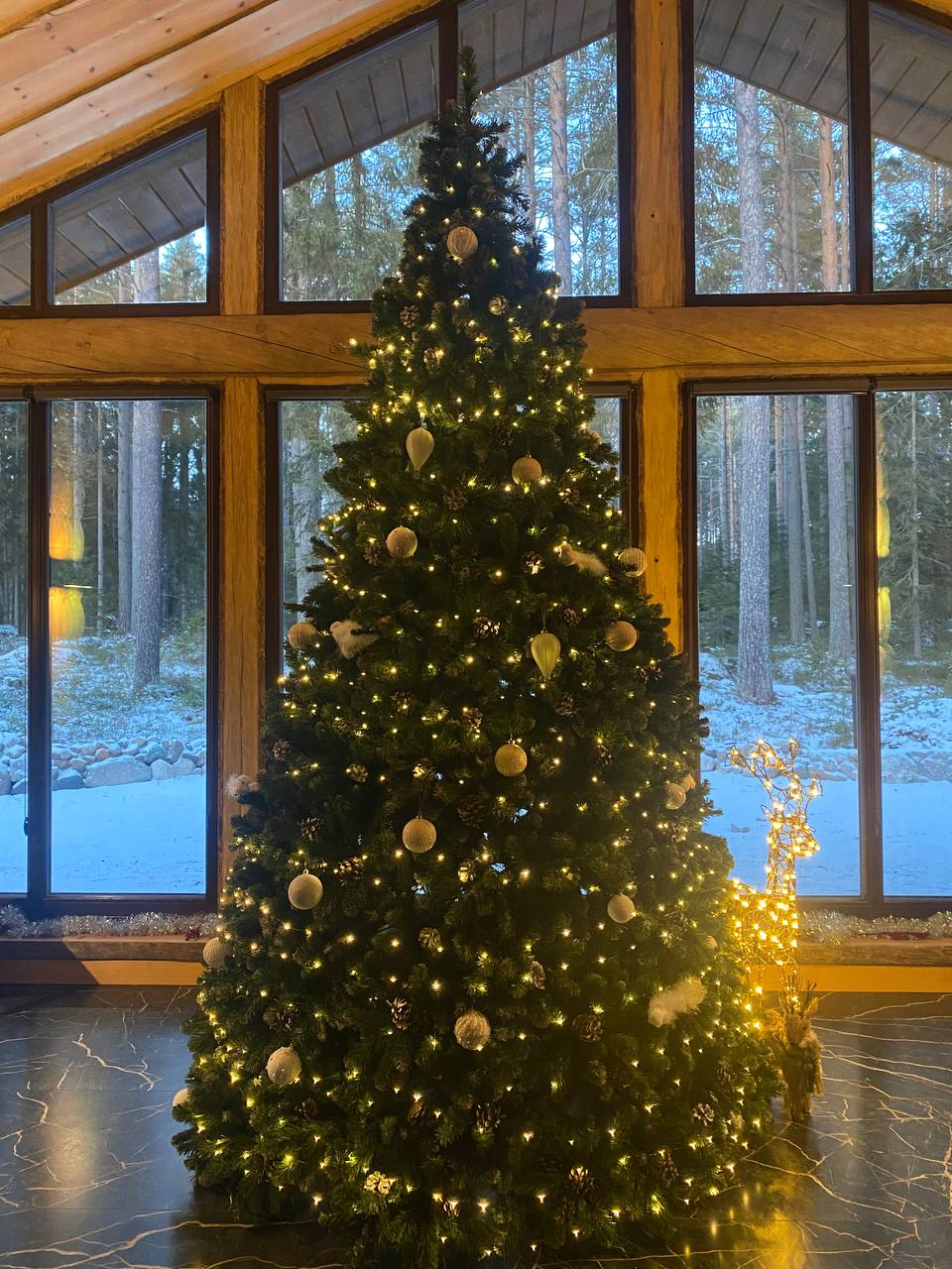 Фото Медвежья Ривьера