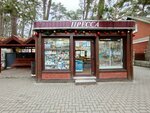 Пресса (Kaliningrad Region, Svetlogorsk, ulitsa Lenina) ، محلات بيع الصحف
