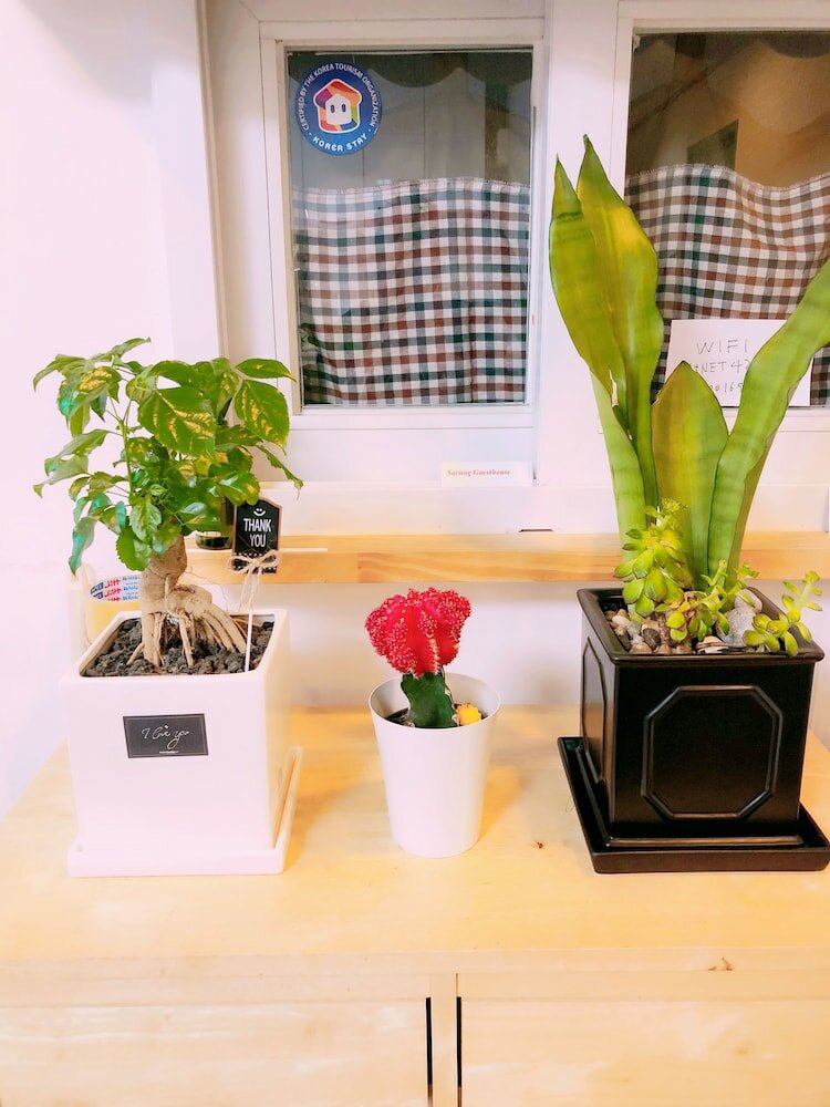 Фото Sarang Guesthouse Dongdaemun