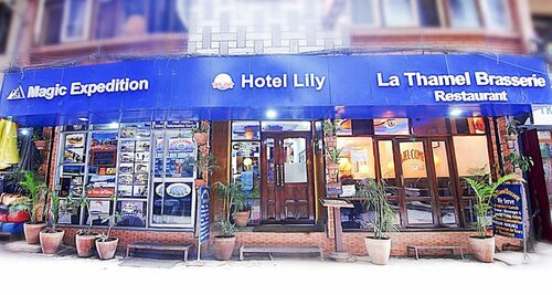Гостиница Hotel Lily Kathmandu в Багмати