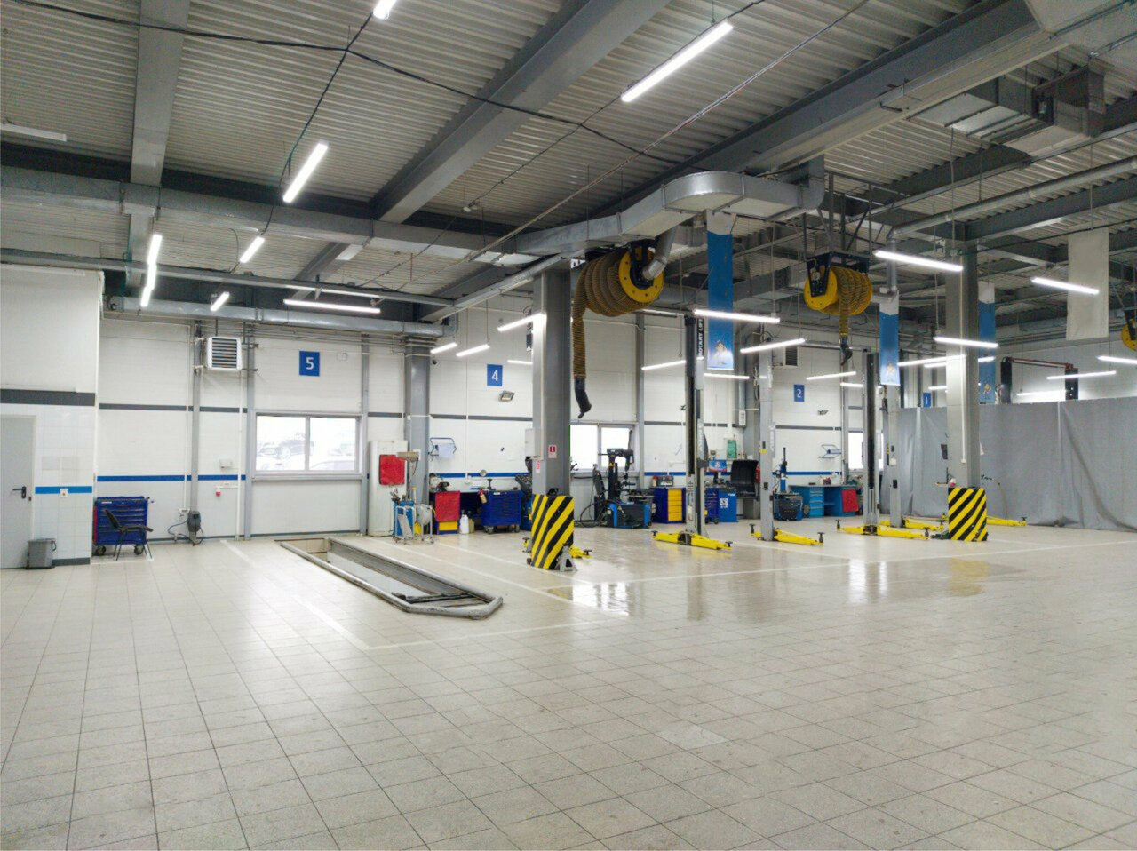 photo Knewstar Медведь Альянс