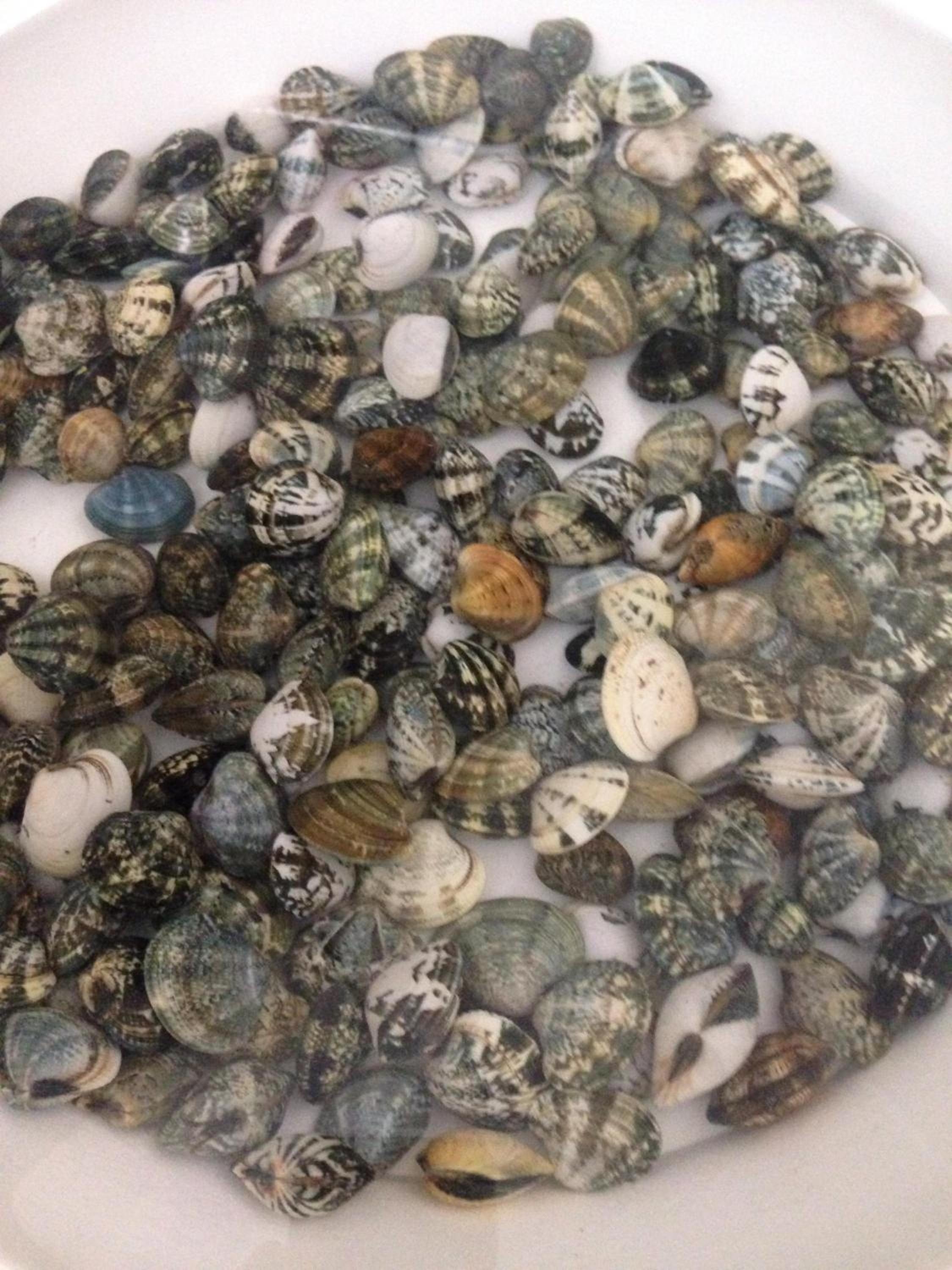 Фото Hotel Biagini