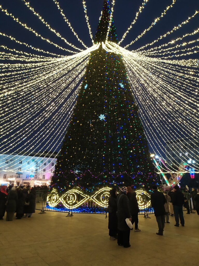 Landmark, attraction Площадь Ленина, Makhachkala, photo