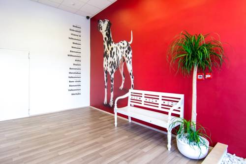 Фото 101 Dalmatinac