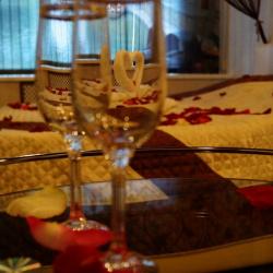 Фото Виктория на улице Красных Фортов