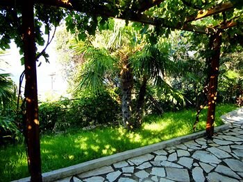 Фото Dionysos Apartments