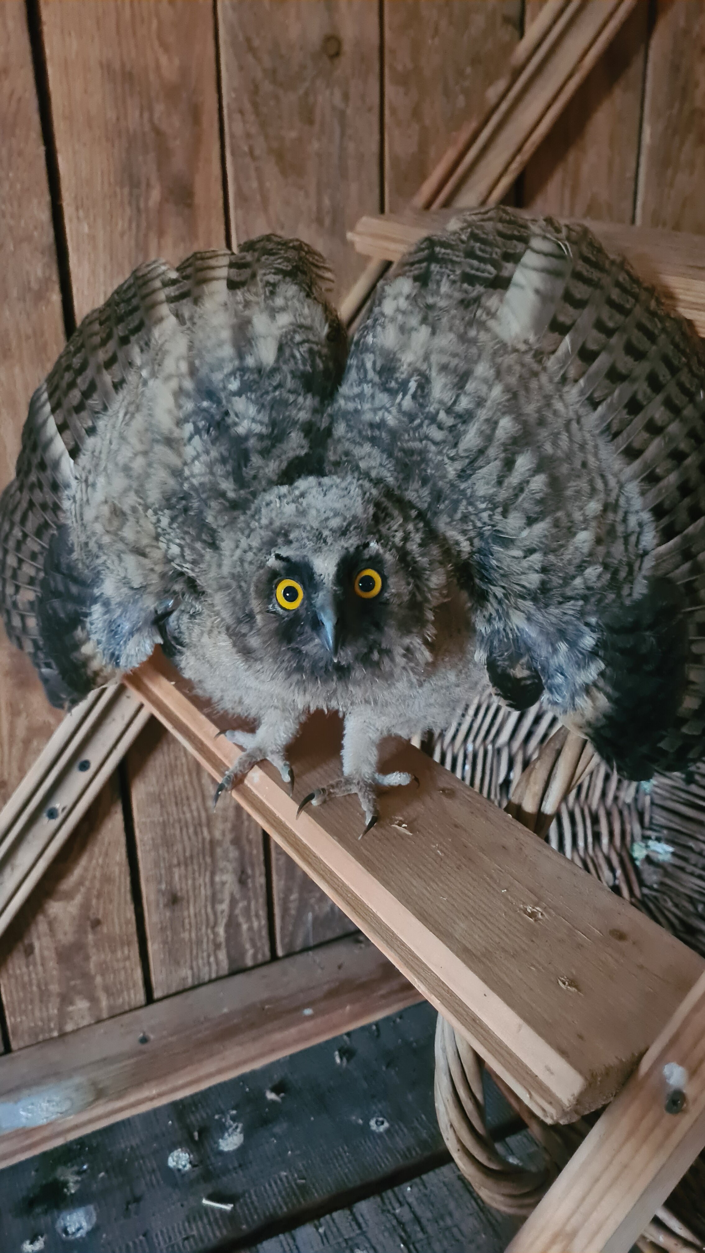 Фото Подворье Ямщика