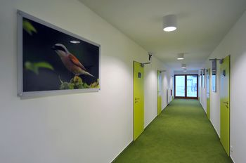 Фото Penzion Andula