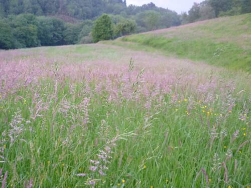 Фото Manarinegi Apartamentos Rurales