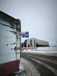 Тут шьют рули (Kosmonavtov Avenue, 59/8к5), auto studio