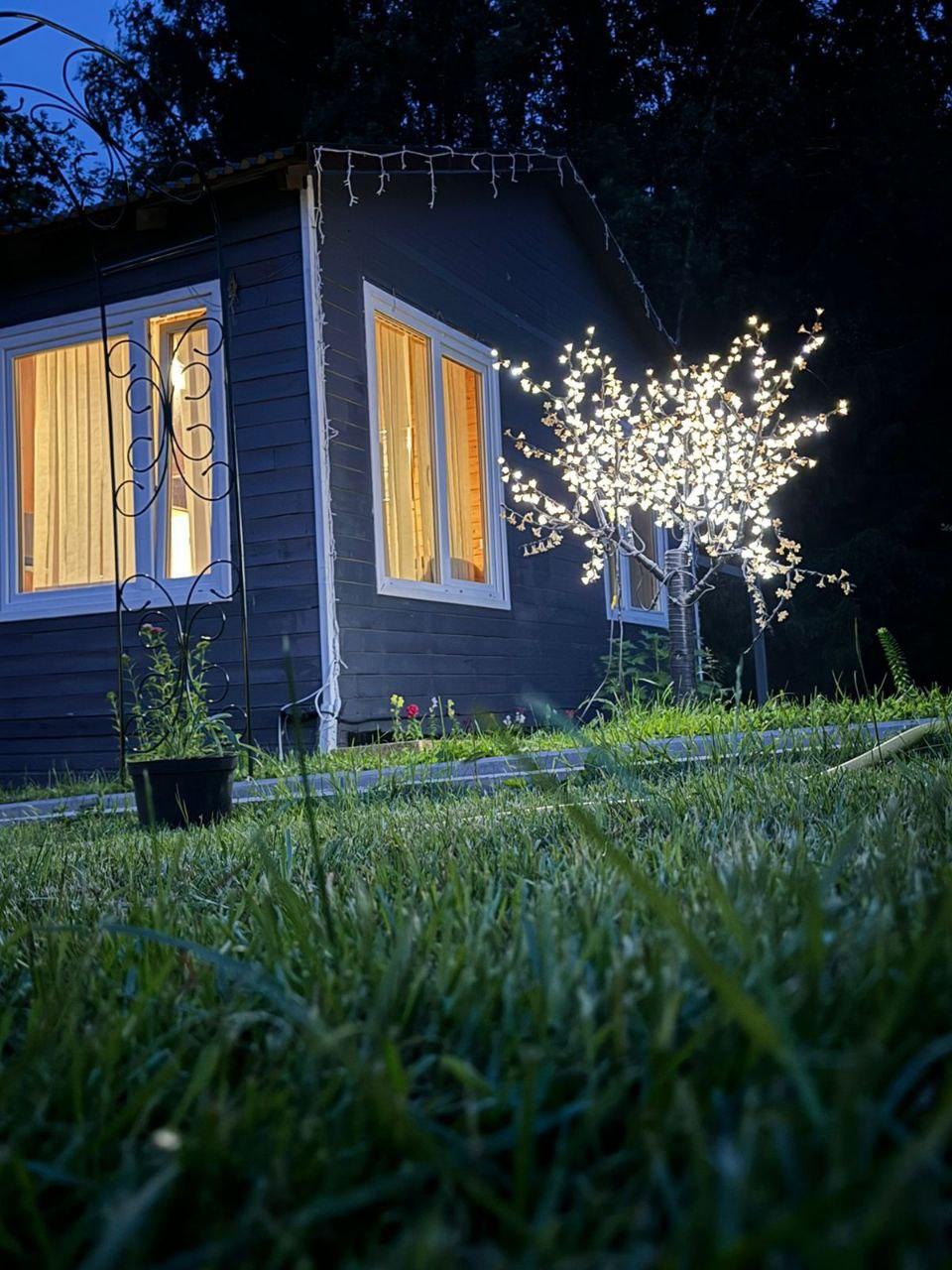 Фото Прованс