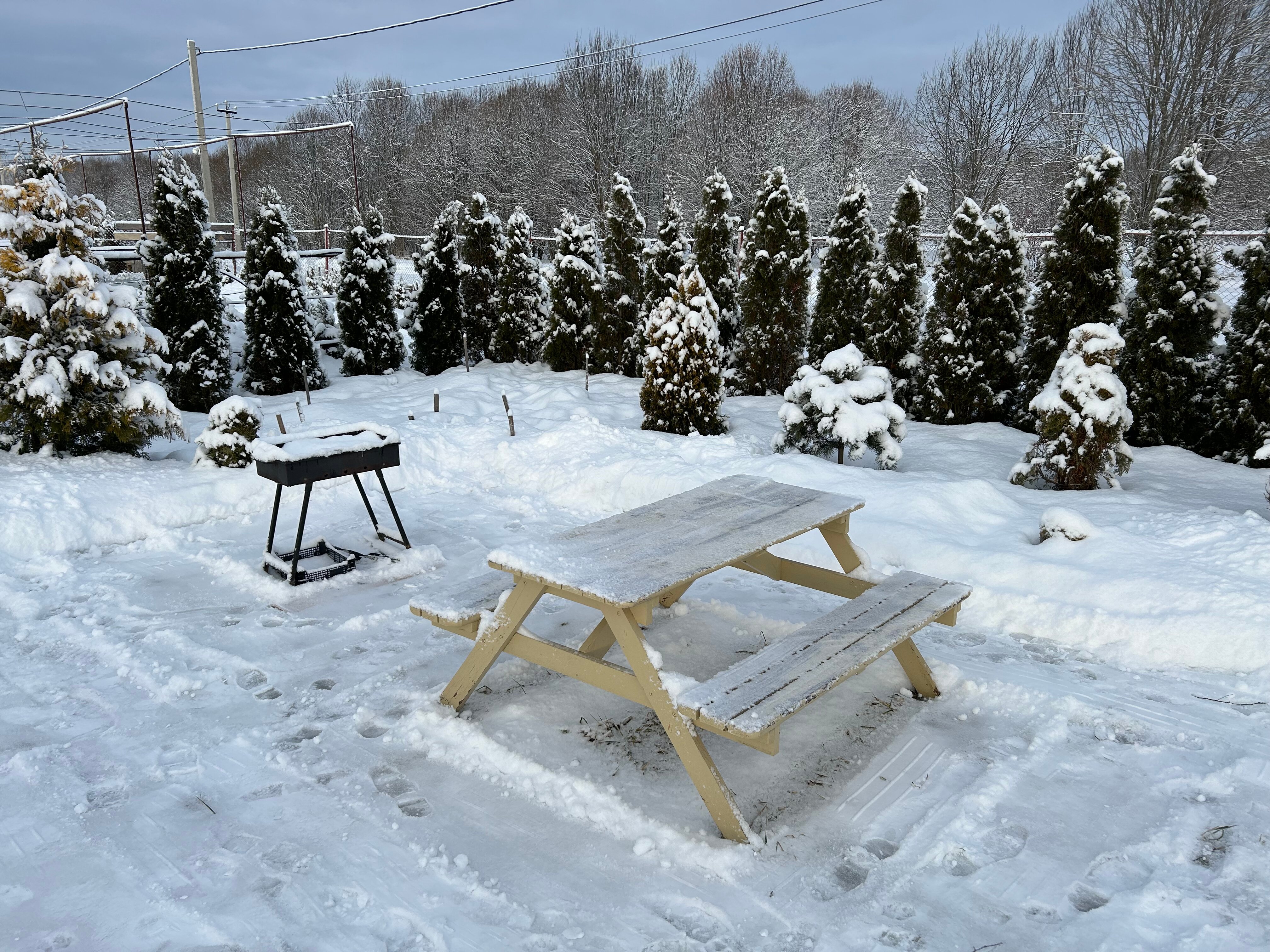 Фото Усадьба Маруся