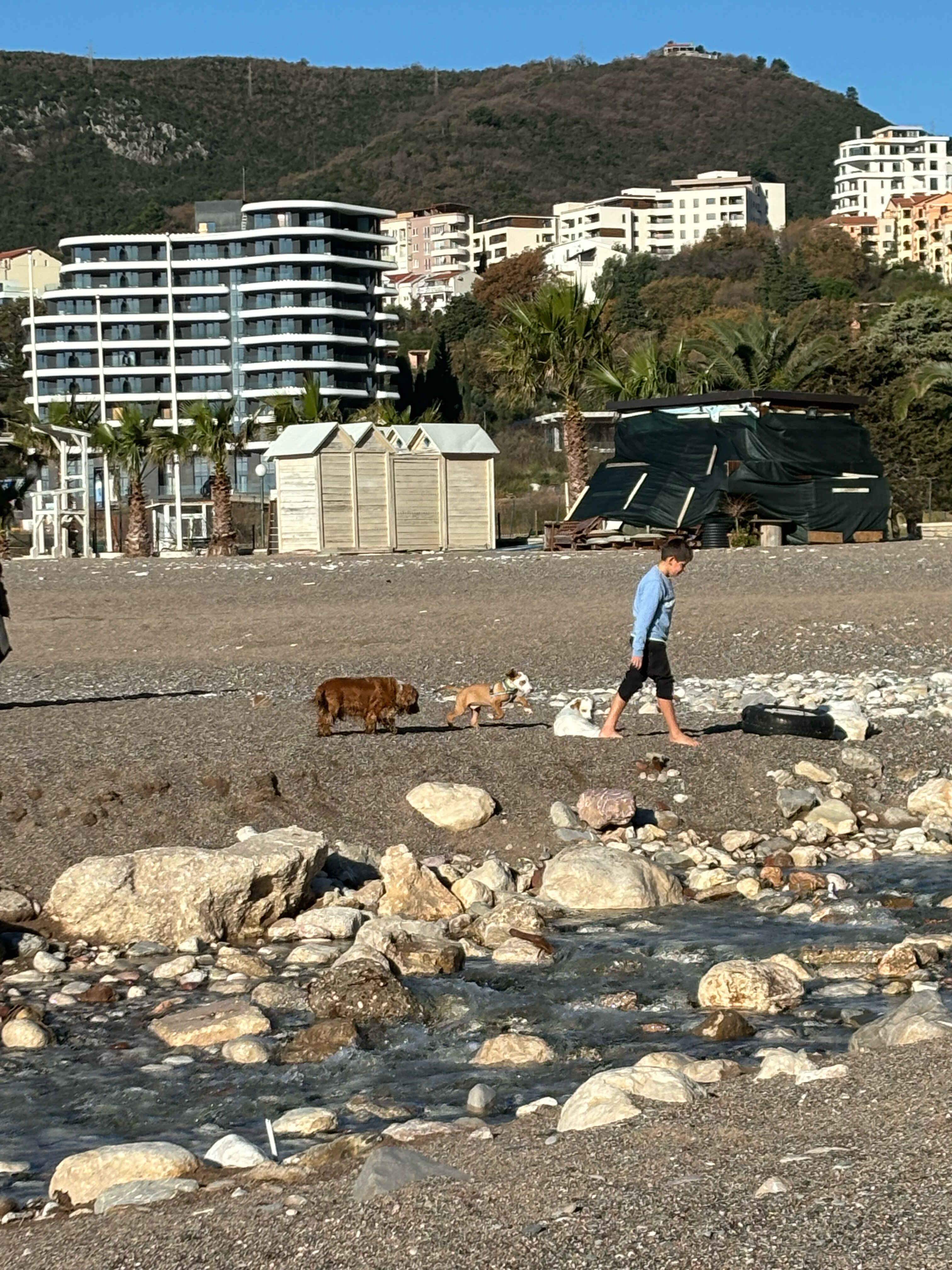 Фото Sea Star Hotel