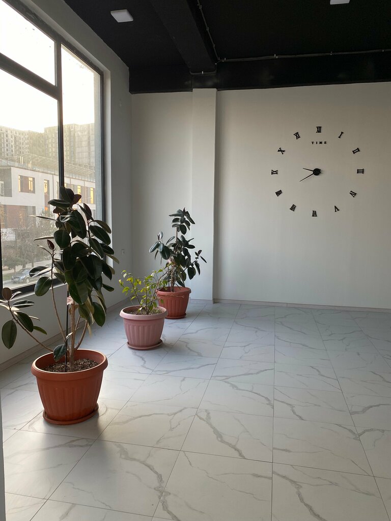 Construction company Rgroup, Tashkent, photo