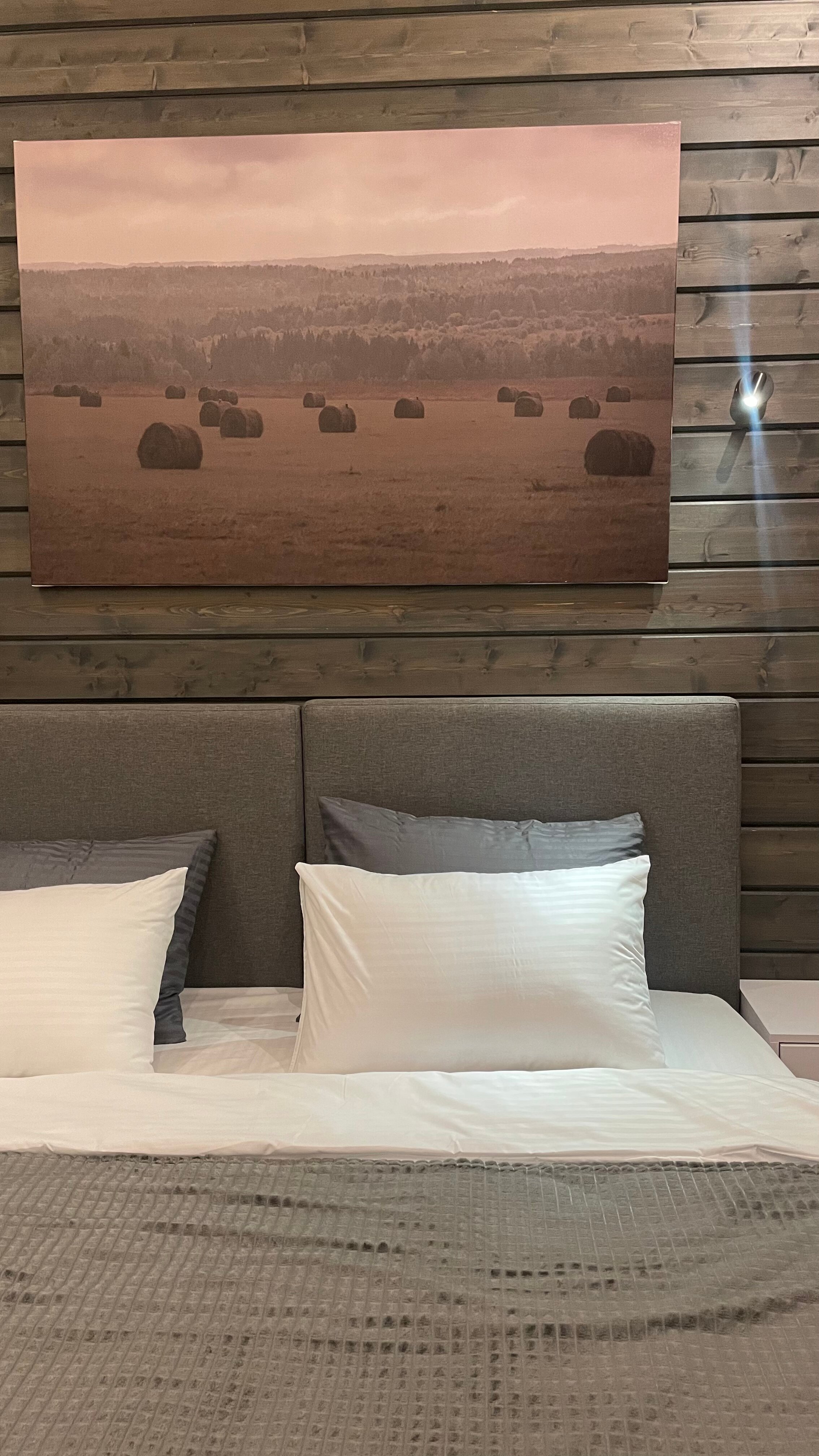 Фото The Datcha!