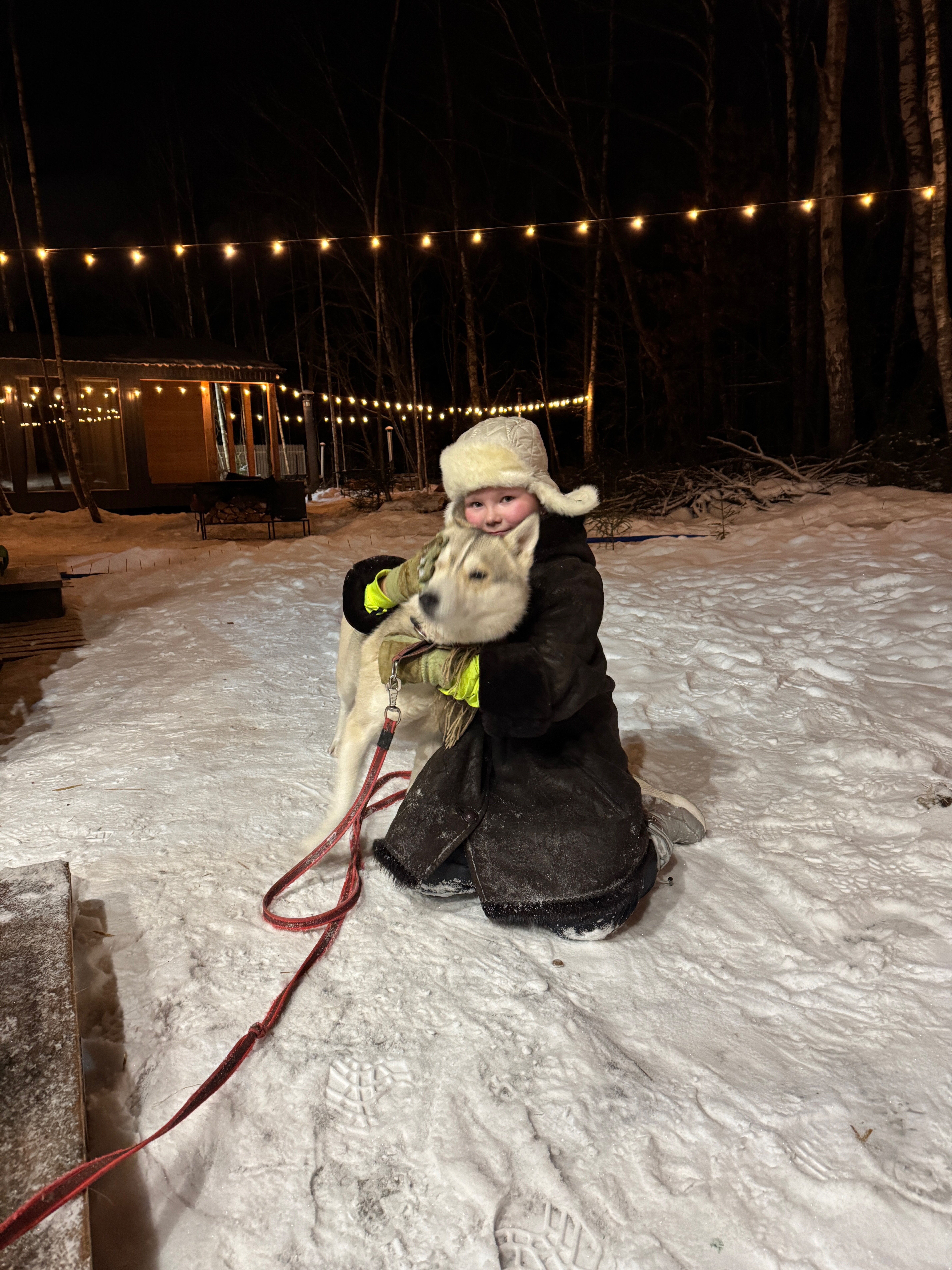 Фото У леса