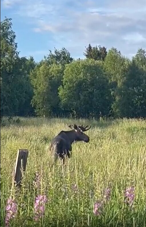 Фото Хутор Варяжский