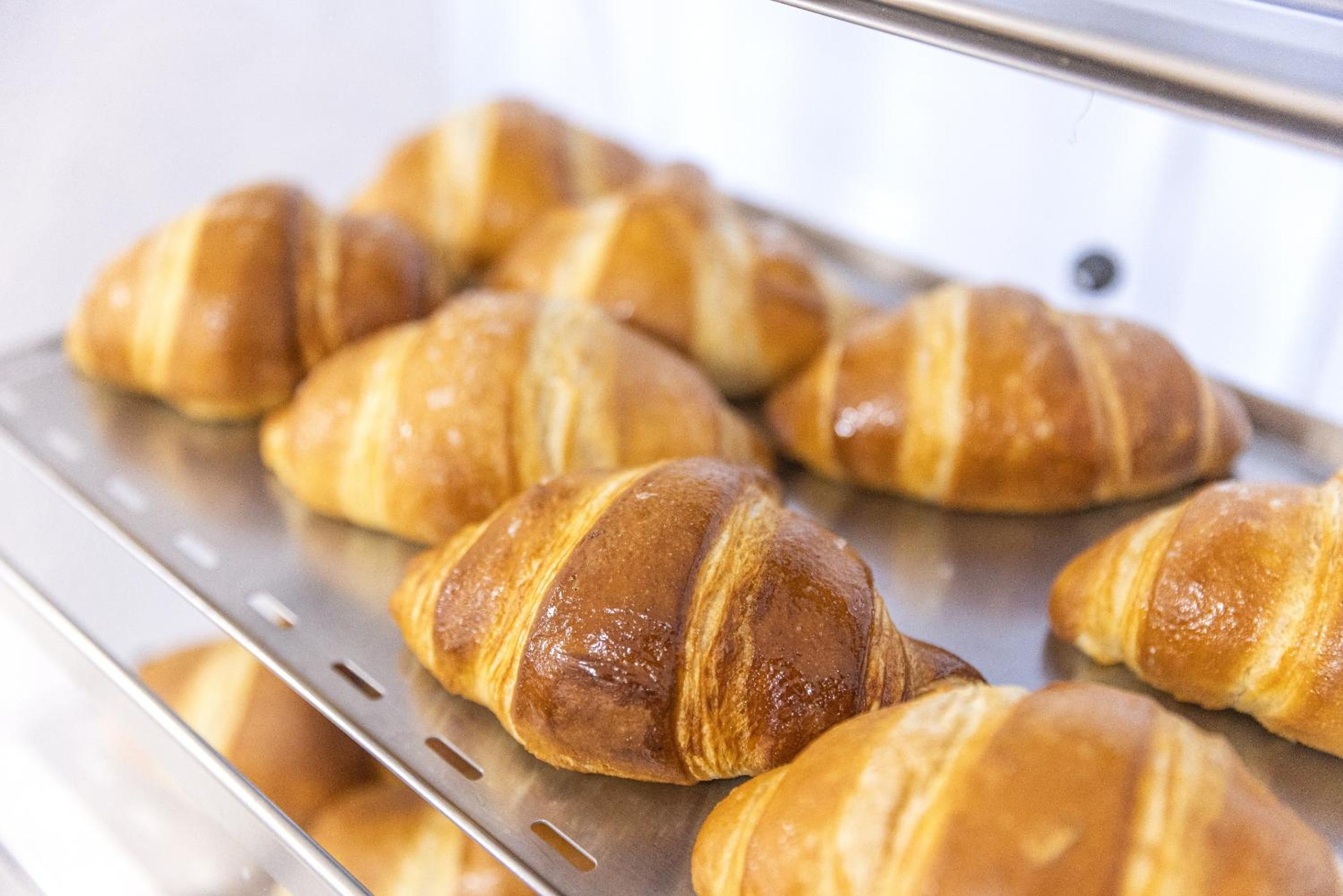 Фото Hotel Terme Principe