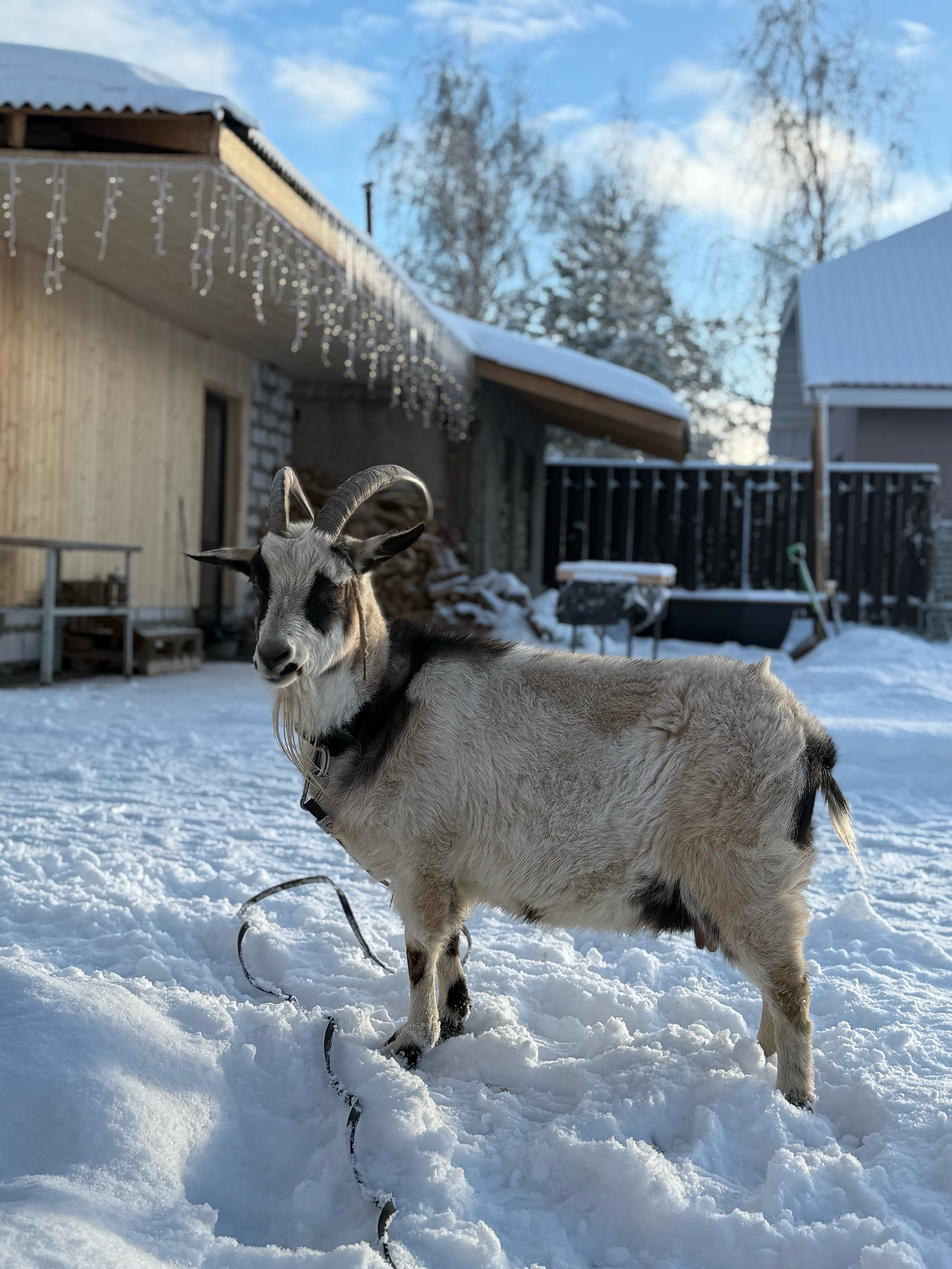 Фото Дурыкино House