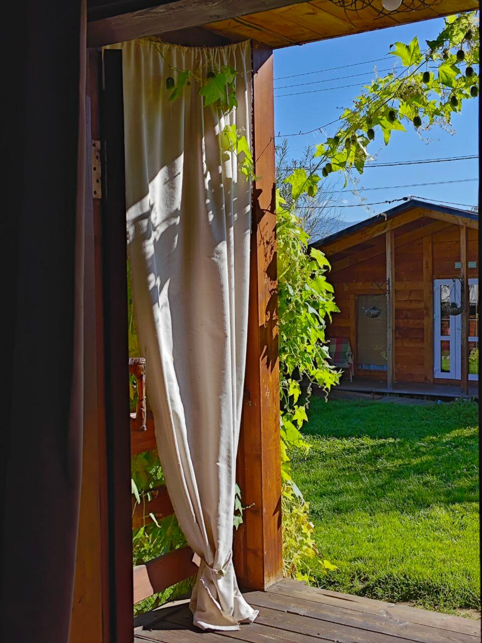 Фото Алтайна