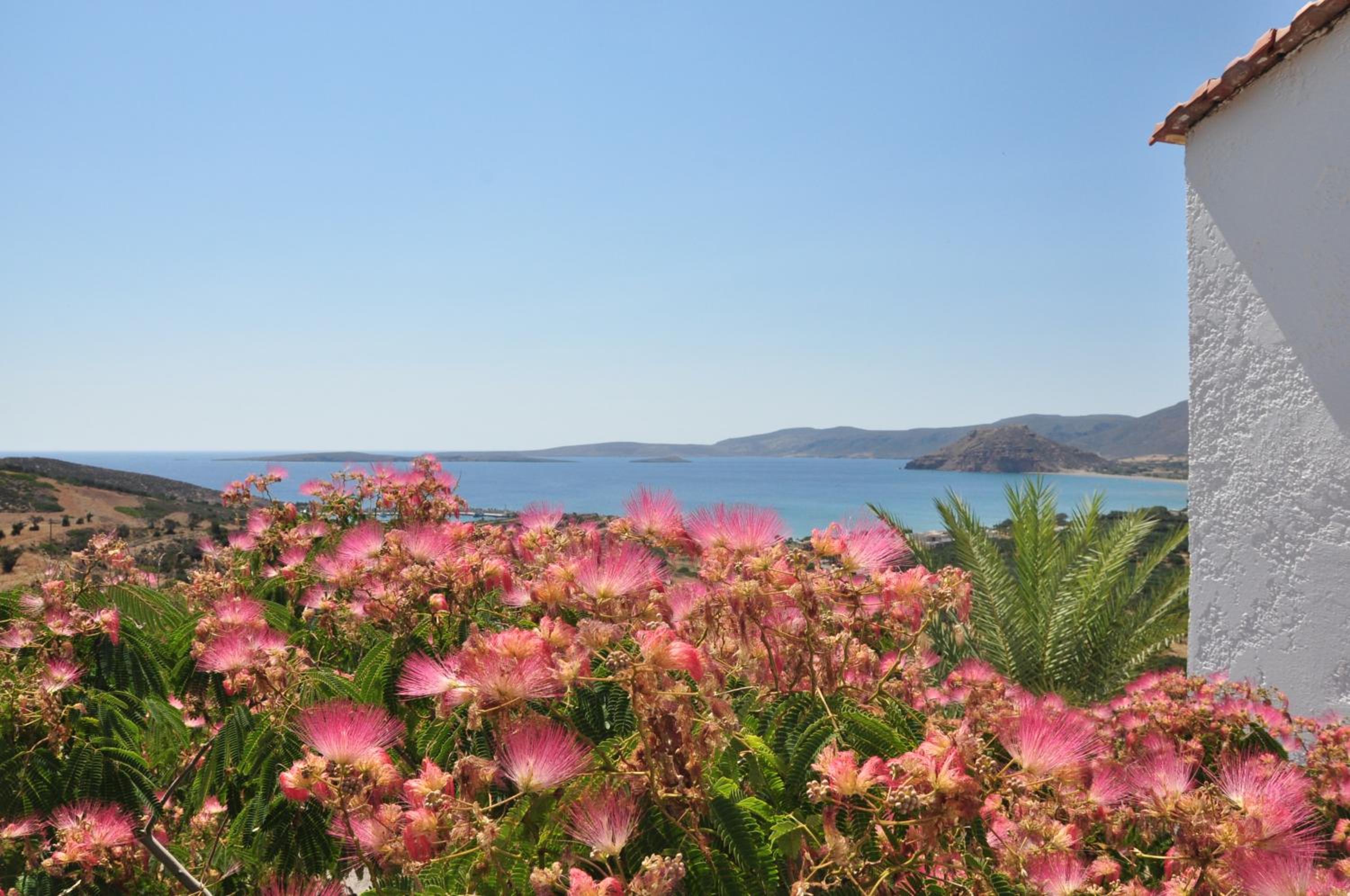 Фото Castri Village Hotel