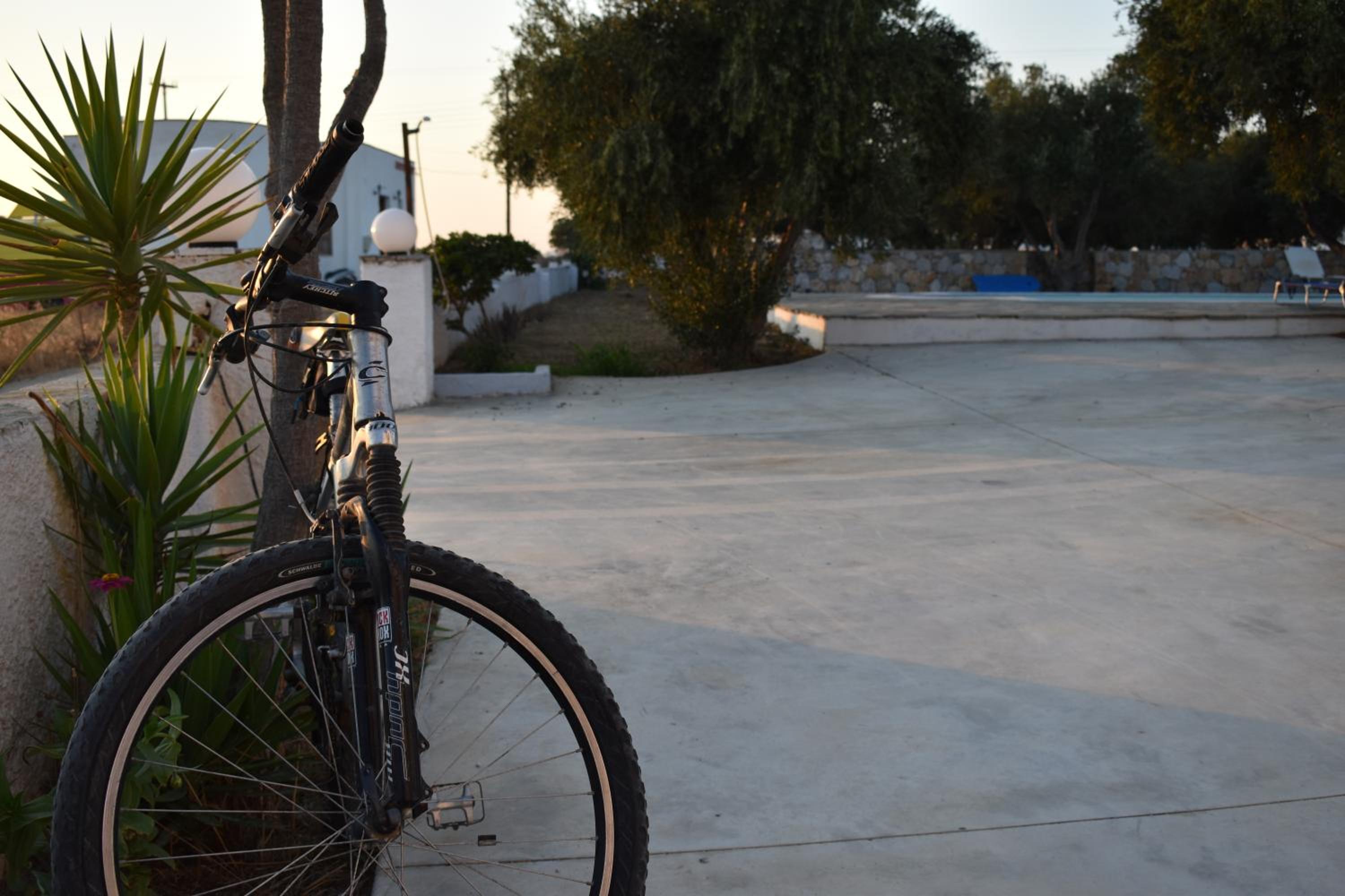 Фото Diamantis Studios