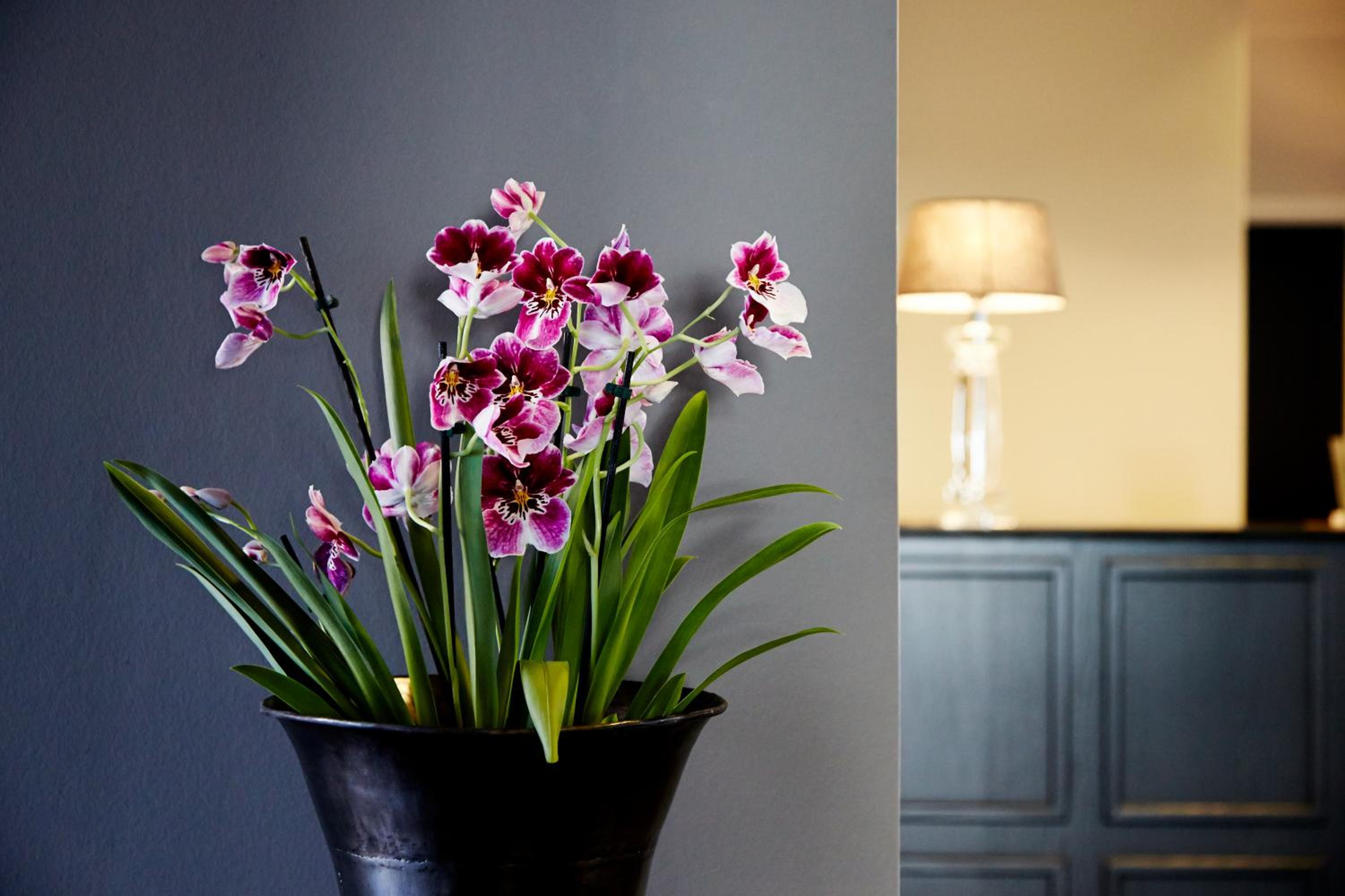 Фото Best Western Plus Hotel Kronjylland