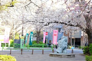 Гостиница Koko Hotel Premier Nihonbashi Hamacho