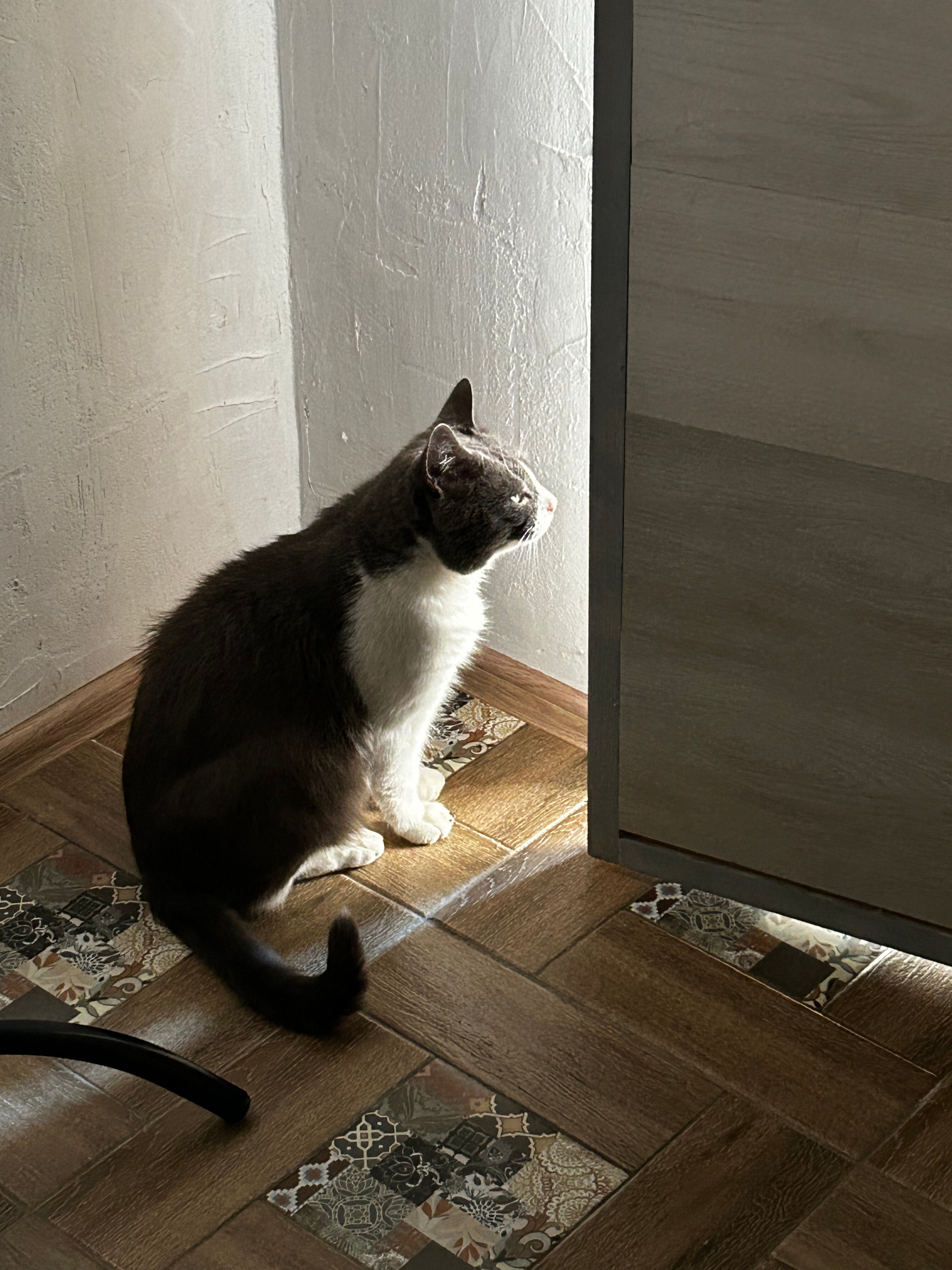 Фото Ёлки на горке