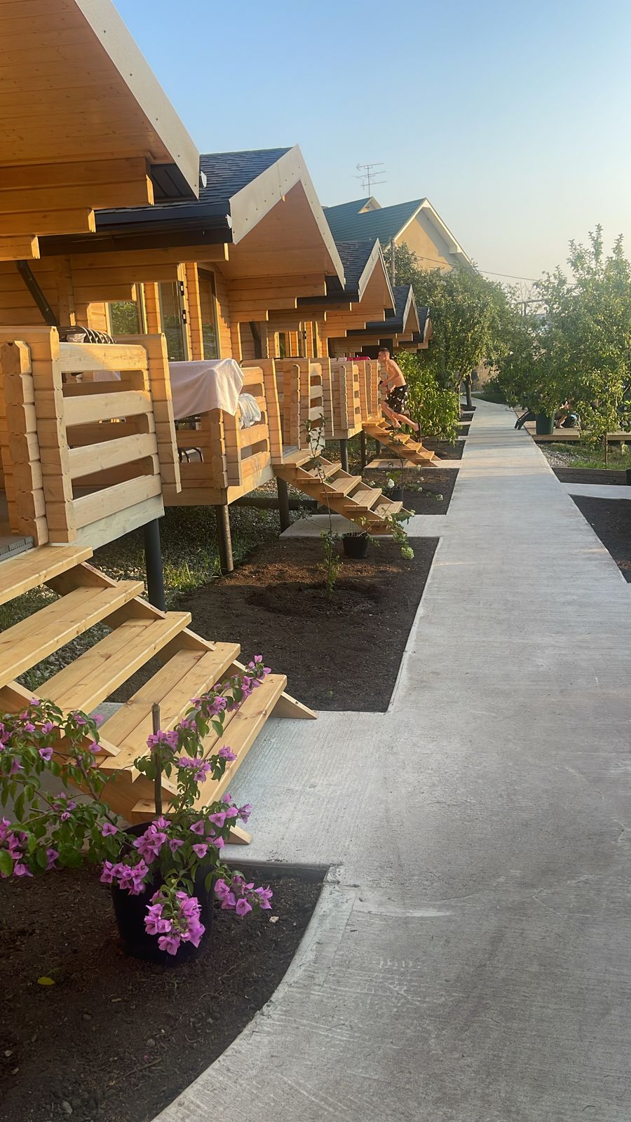 Фото Фруктовый сад