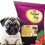 Grand Dog (gorodskoy posyolok Vyritsa, Kommunalny prospekt, 6) ، متجر للحيوانات الأليفة