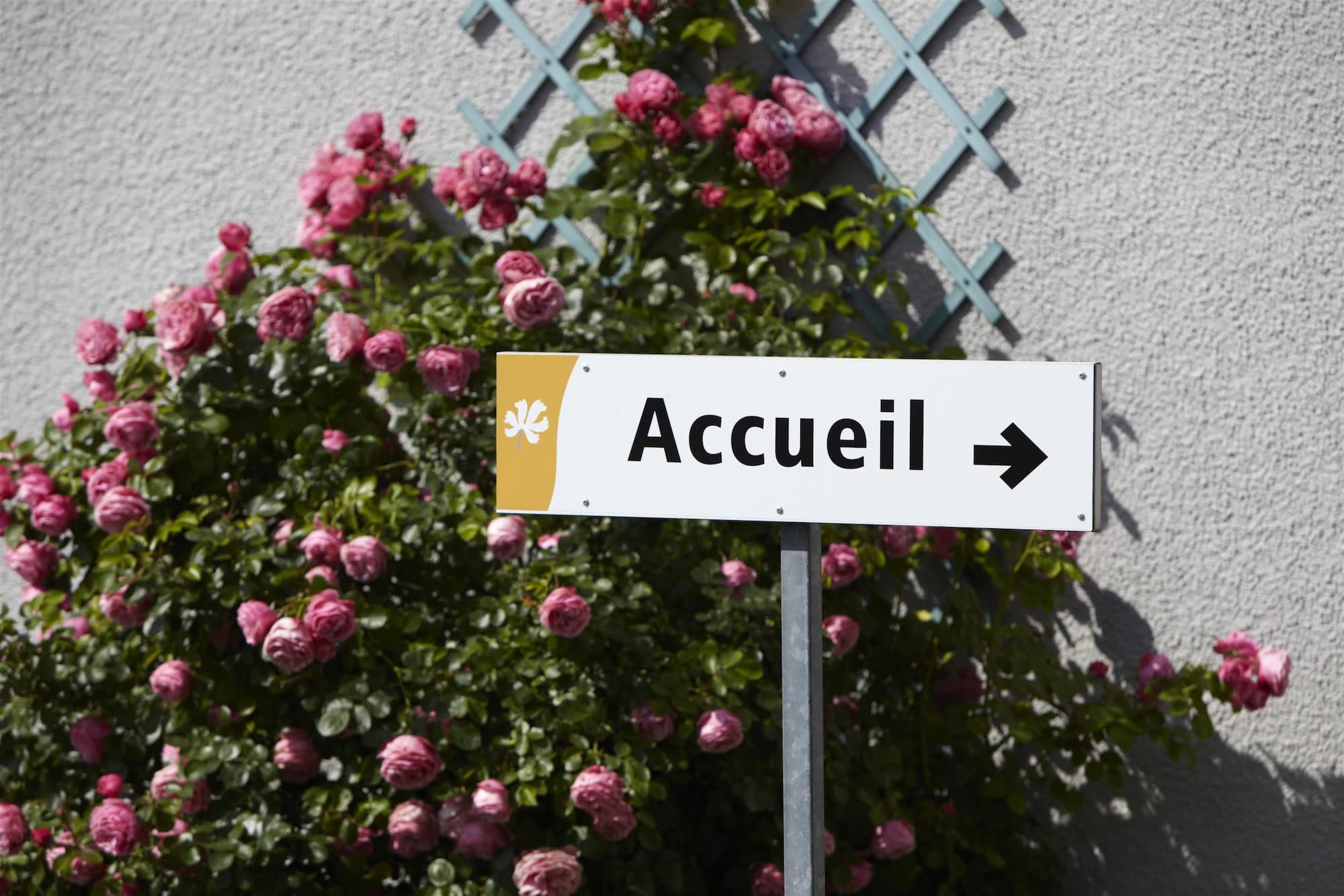 Фото Premiere Classe Saint Brice Sous Foret